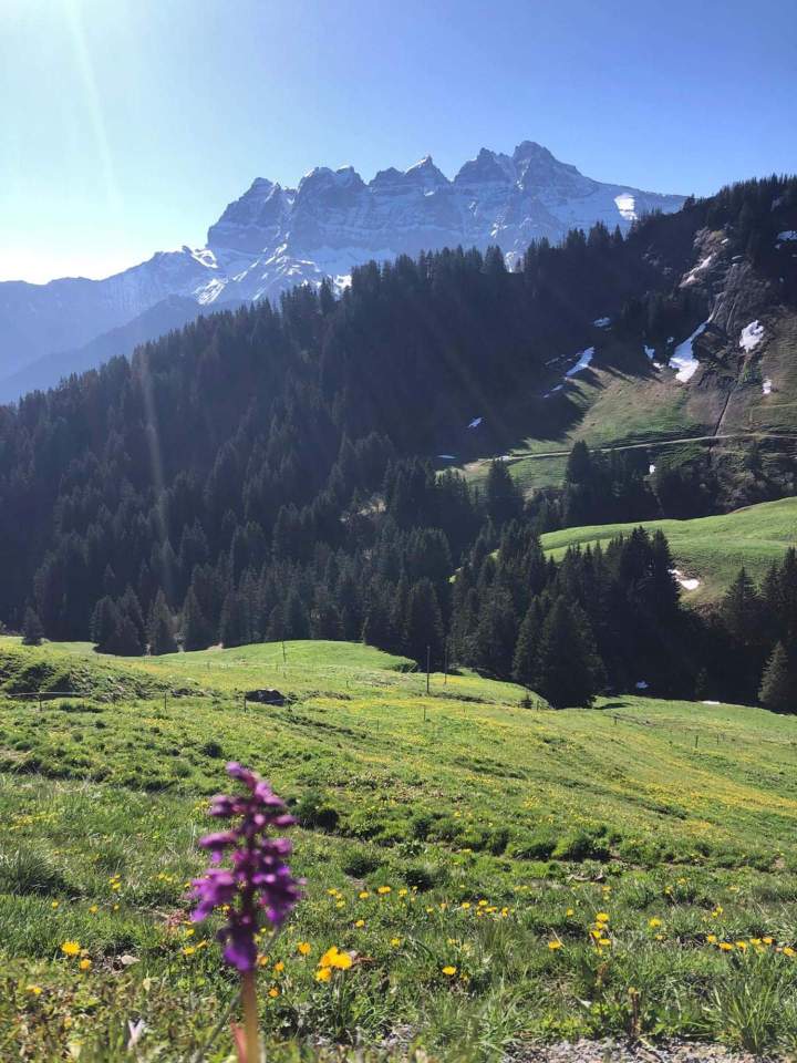 Escapades alpines Suisse
