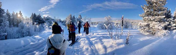 Excursions en Laponie Suisse