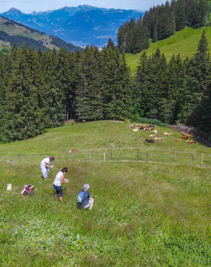 Nature outing Switzerland