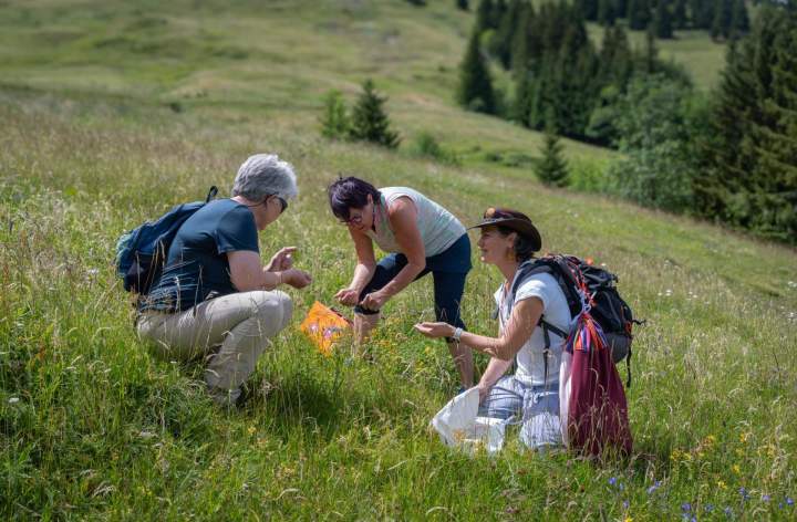 Venez vous ressourcer au cœur des paysages préservés.