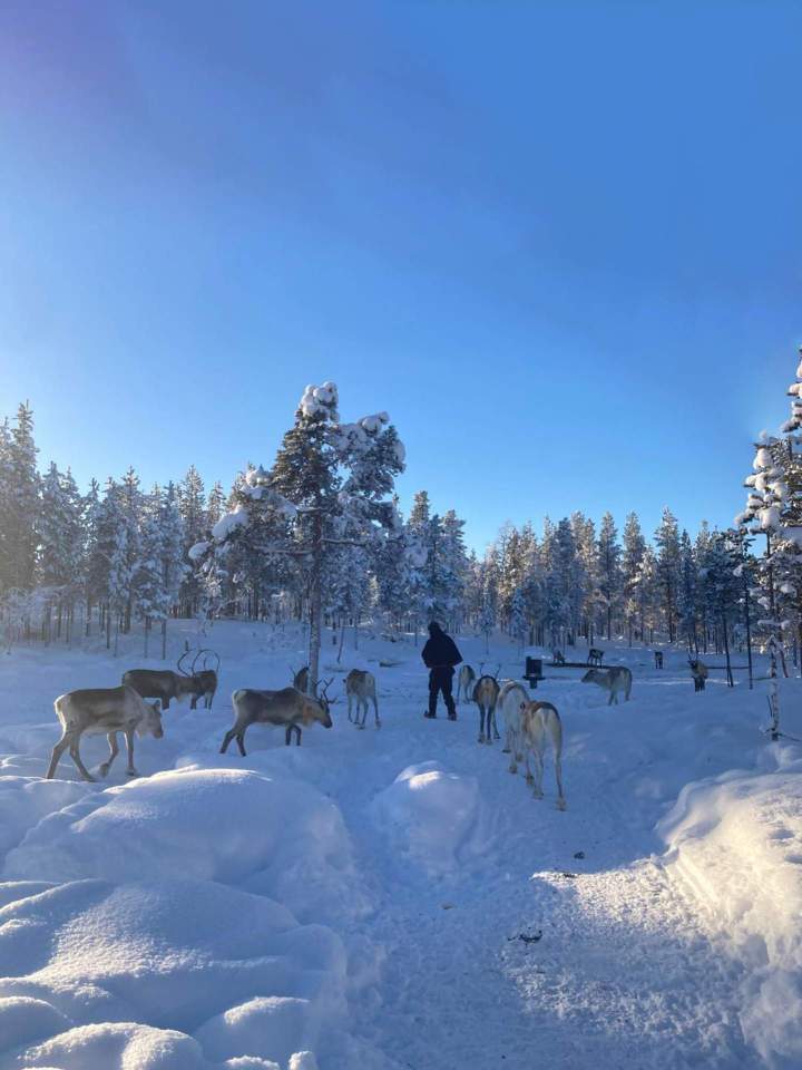 Séjour en laponie finlandaise Suisse