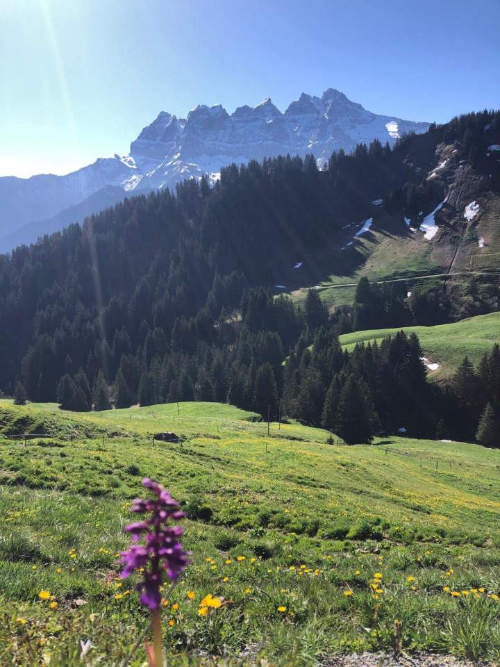 montagne suisse