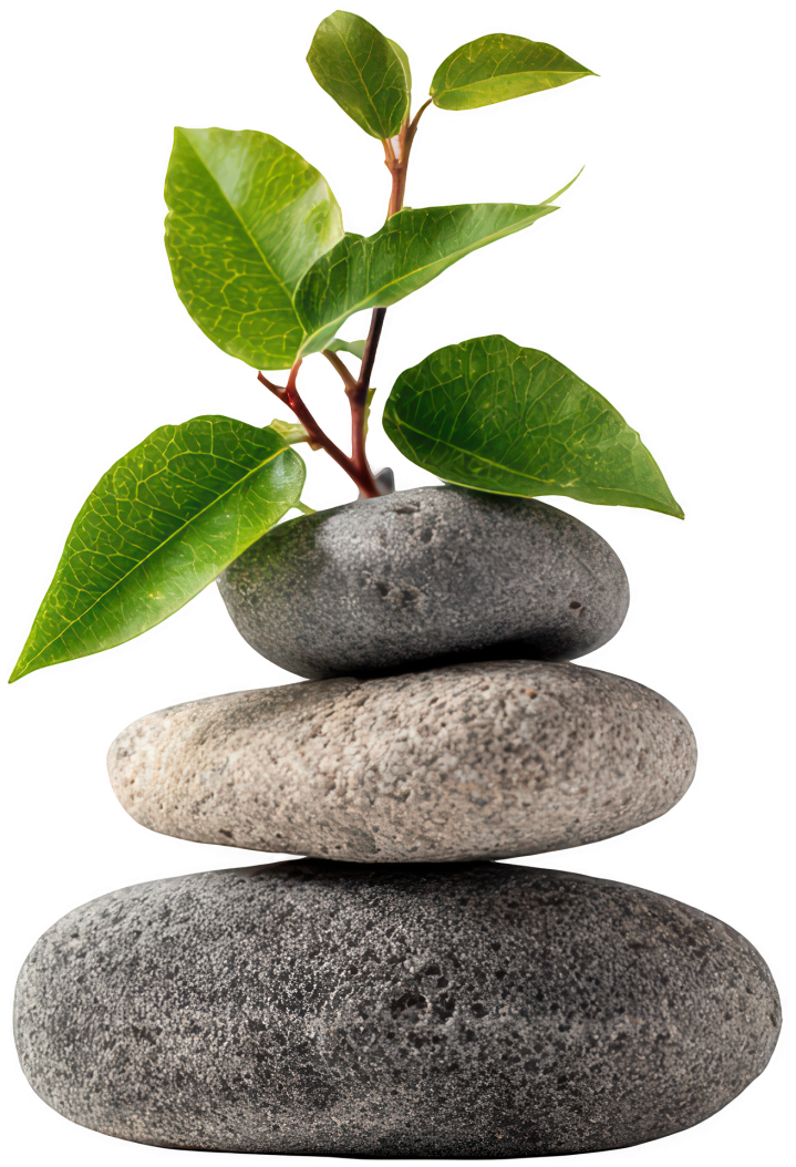 rock